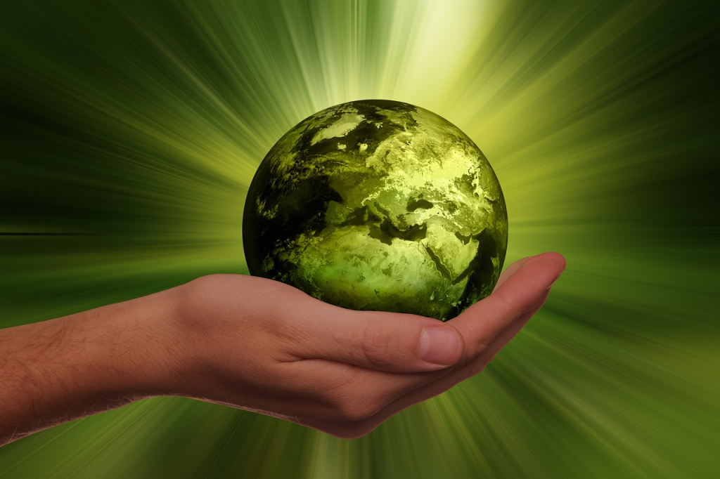 Update: Nieuwe Innovaties in Eco-vriendelijke NFT's en Duurzame Ontwikkelingen